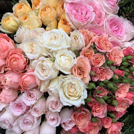 Pastel Mixed Rose Box